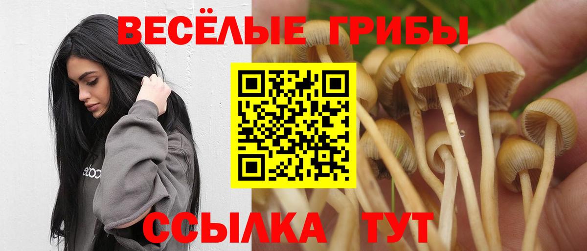 Псилоцибиновые грибы GOLDEN TEACHER Можайск
